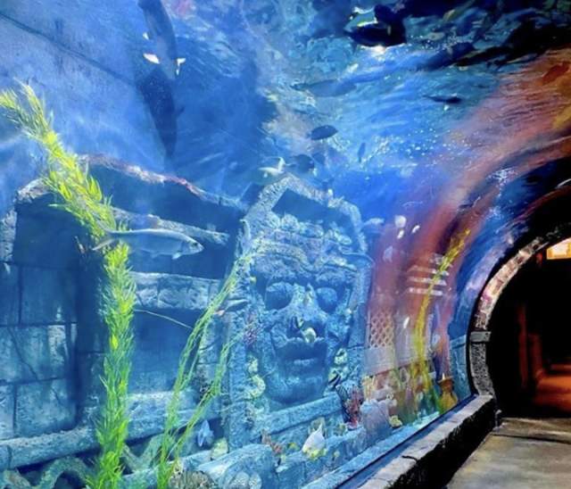 Aquarium Houston